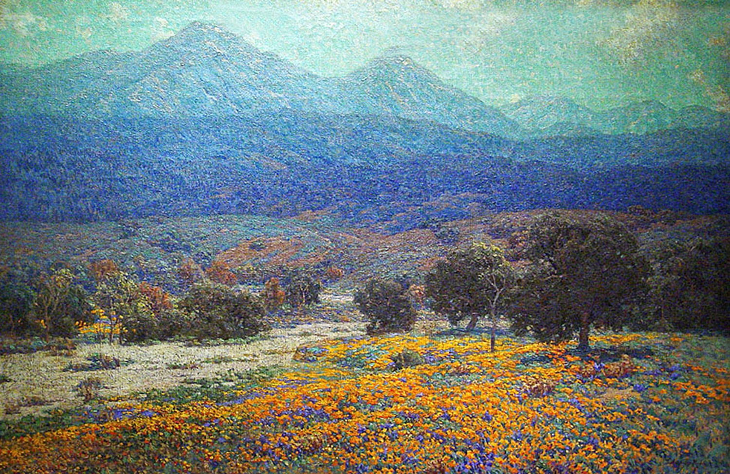 California Poppy Field, c. 1926