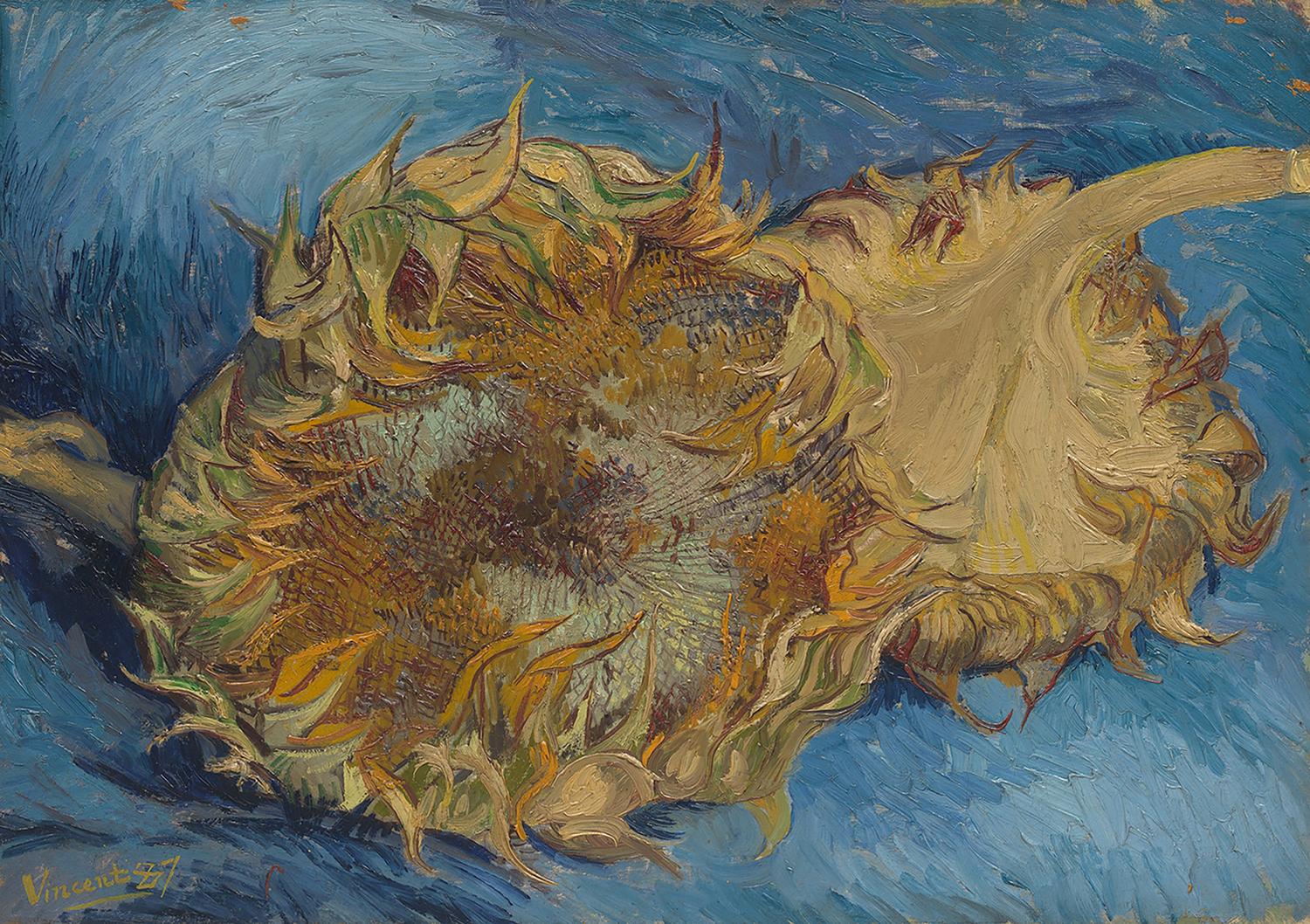 Sunflowers, 1887