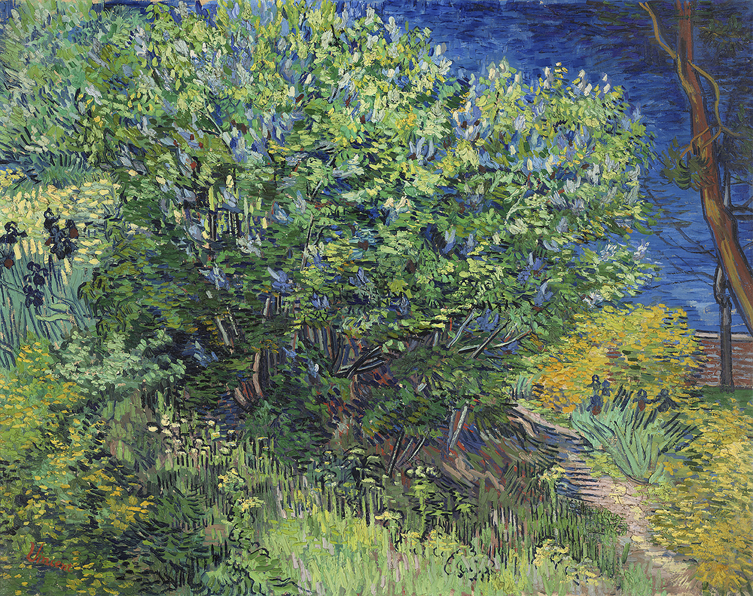 Lilac Bush, 1889