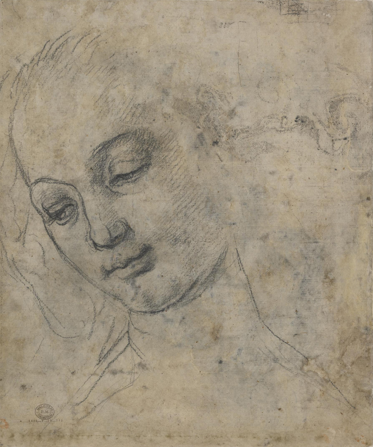 Head of a Young Woman in Three-Quarter View, c. 1475