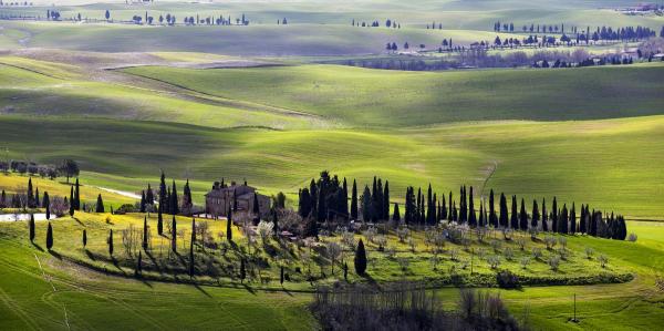 Country Houses in Tuscany