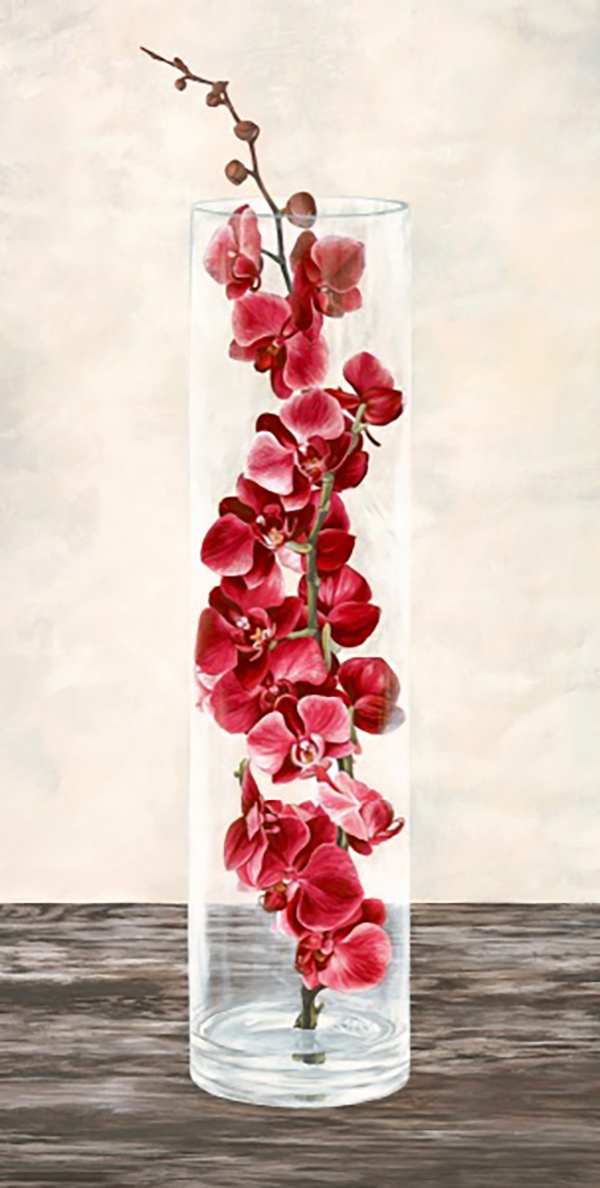 Arrangement of Orchids