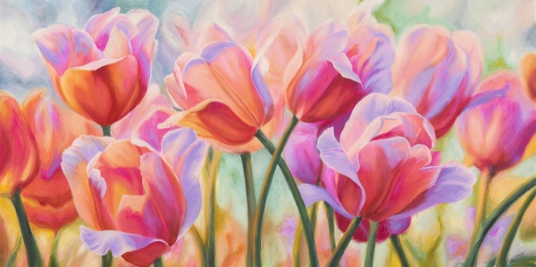 Tulips in Wonderland