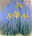 Yellow Irises 1 Just Wall Decor Yellow Irises