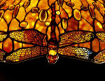 Detail of an Important Dichroic Dragonfly 1 Just Wall Decor Detail of an Important Dichroic Dragonfly