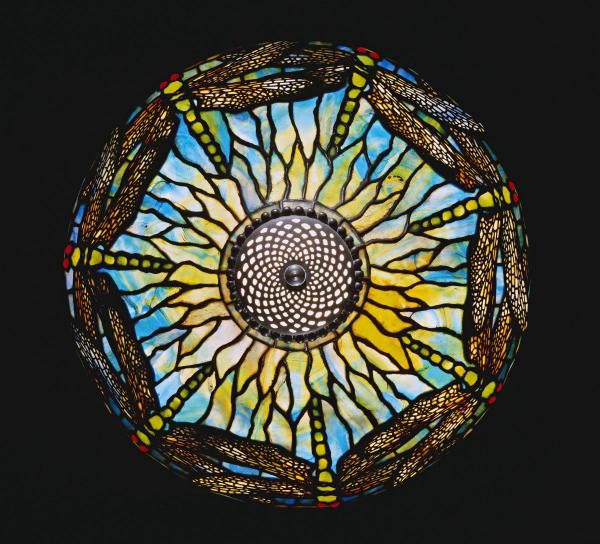 A Detail from a Rare Dragonfly