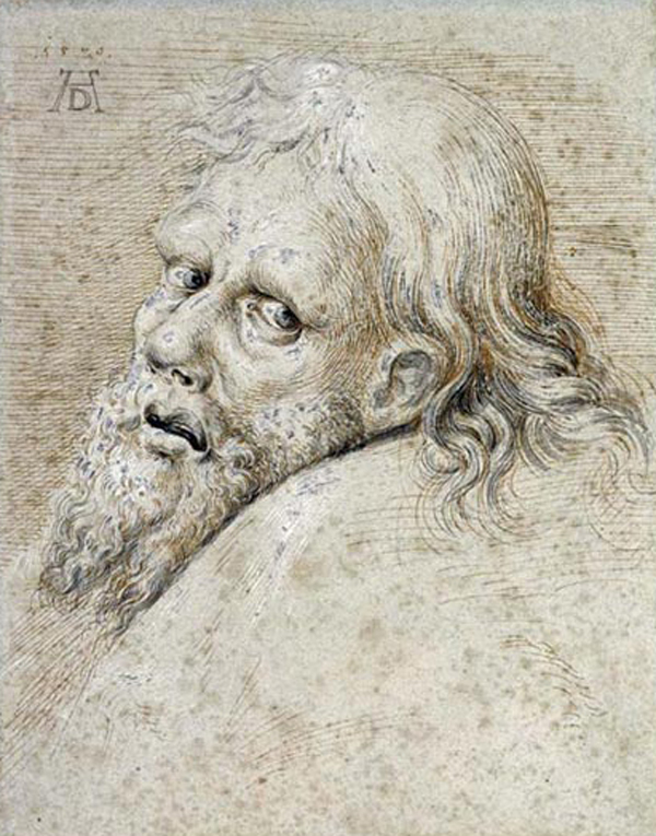 The Head of a Bearded Man
