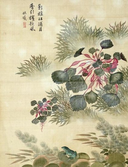 Water Caktrios and Frog