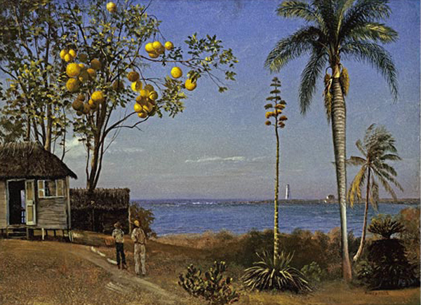 Tropical Scene