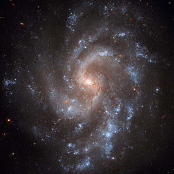 NGC 5584