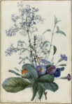 A Bouquet of Flowers with Insects 1 Just Wall Decor A Bouquet of Flowers with Insects