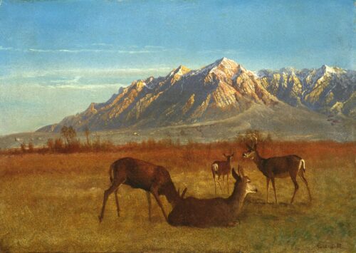 Deer In Mountain Home Just Wall Decor Deer In Mountain Home 1879