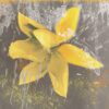 Tulip Fresco yellow 1 Just Wall Decor Tulip Fresco yellow