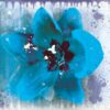 Tulip Fresco blue