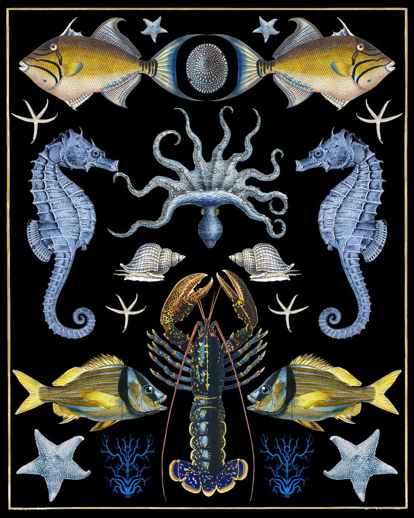 Oceana - Blue & Yellow