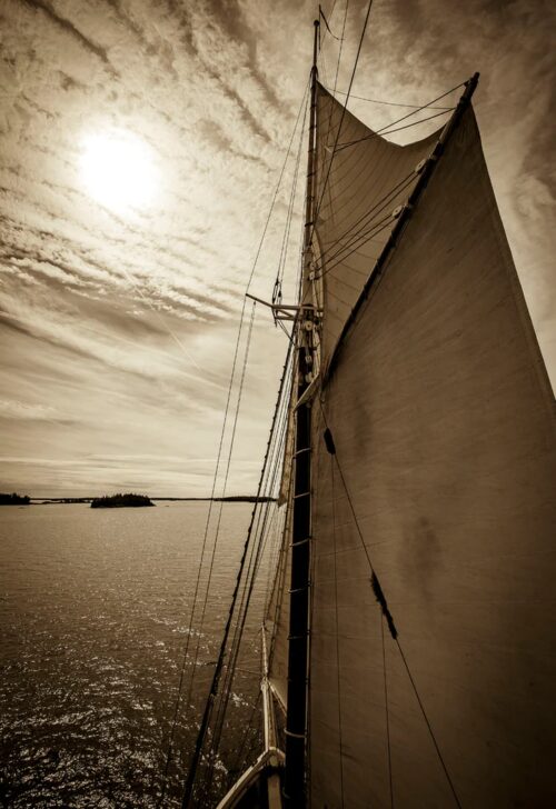 Mackerel Sky 1 Just Wall Decor Mackerel Sky