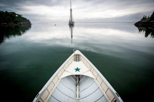 Cookie Bite Morning 1 Just Wall Decor Cookie Bite Morning