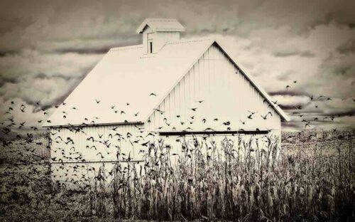 Fly Away 1 Just Wall Decor Fly Away