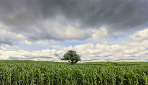 Standing Strong 1 Just Wall Decor Standing Strong