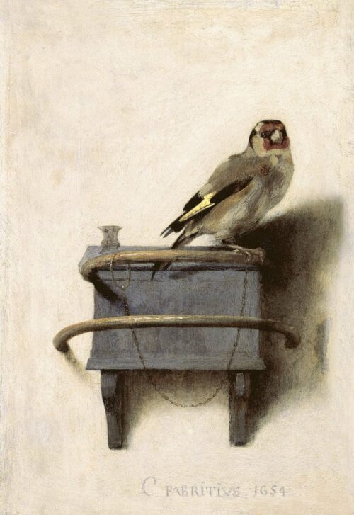The Goldfinch 1654