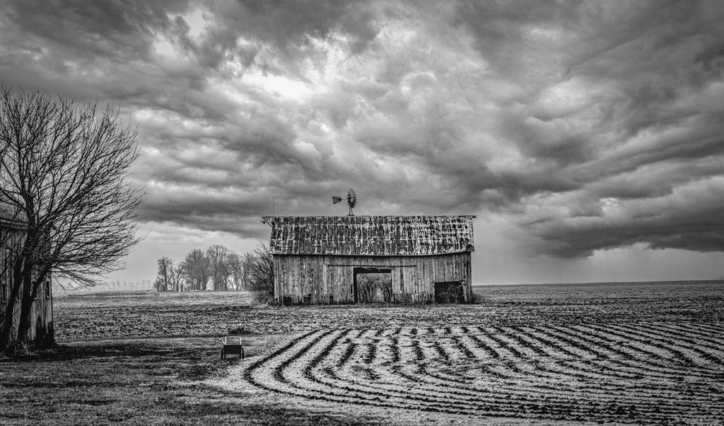 Storm From the South