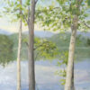 Cooper Lake II