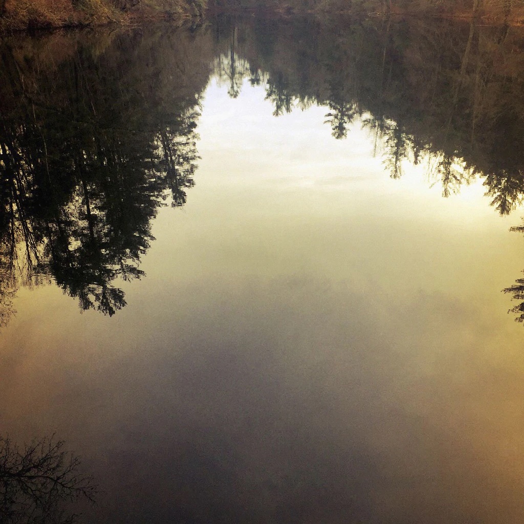 Landscape North Carolina