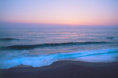 Beach Sunset