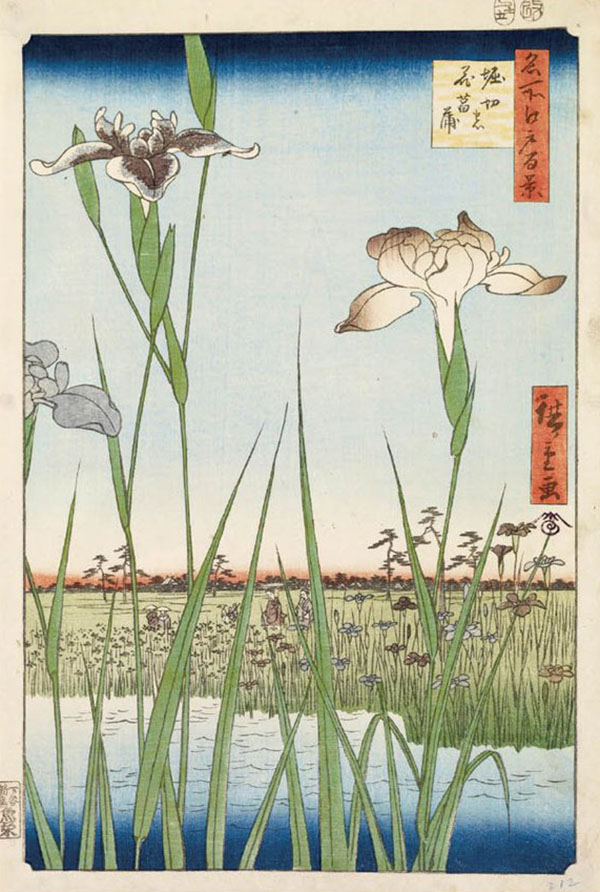 Irises At Horikiri, 1857