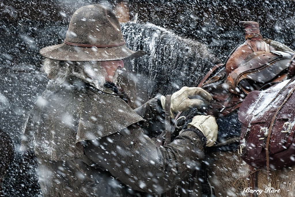 Springtime in Colorado