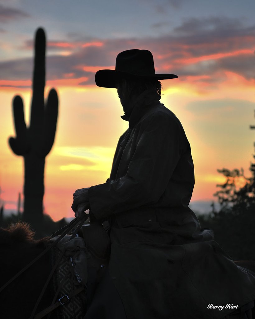 Arizona Cowboy