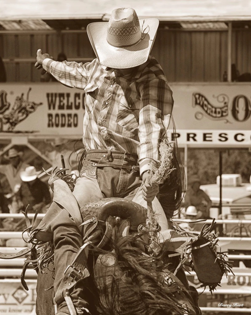 Bronc Buster
