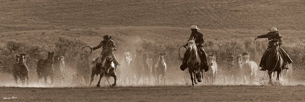 Legends of the Fall I