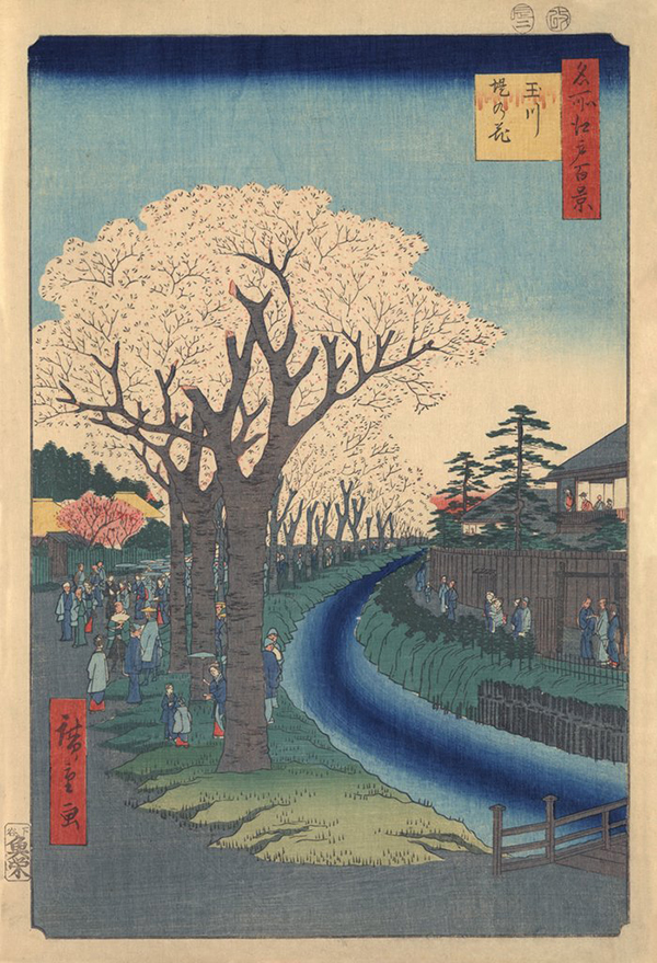 Sightseers Viewing Cherry Blossoms Along the Banks of the Tama River at Edo