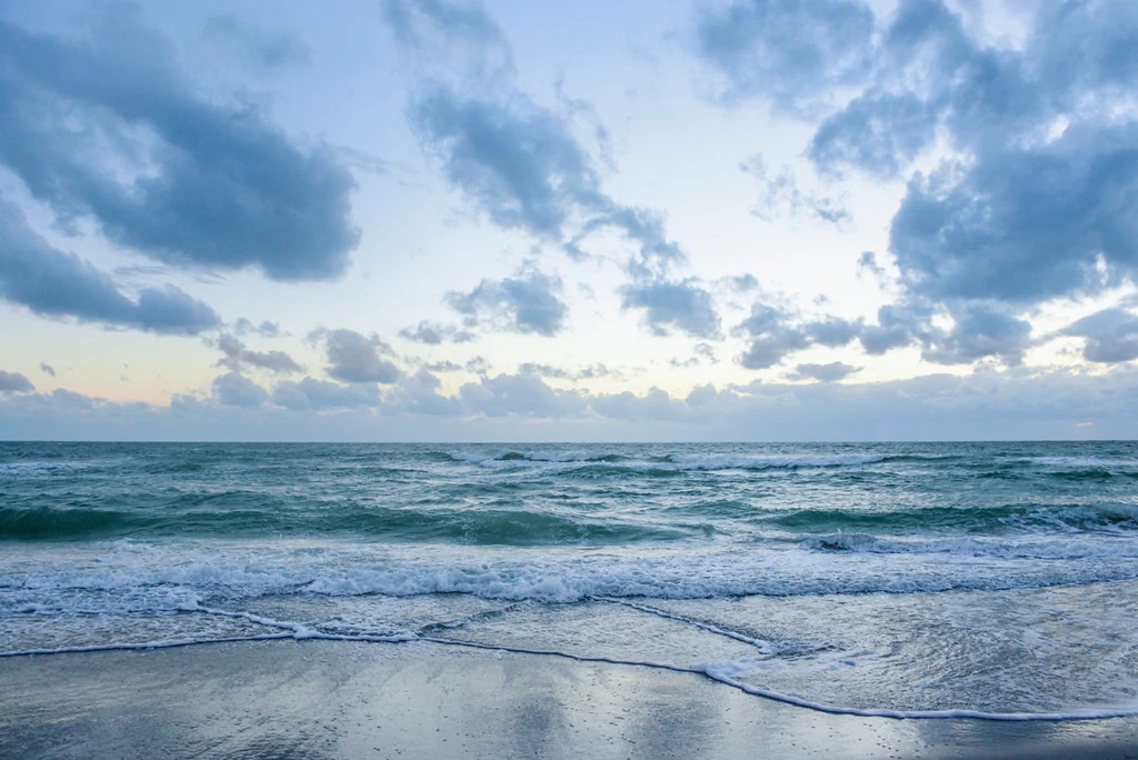 Evening Shore