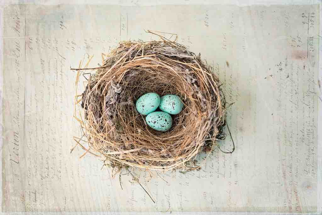 Robin's Eggs