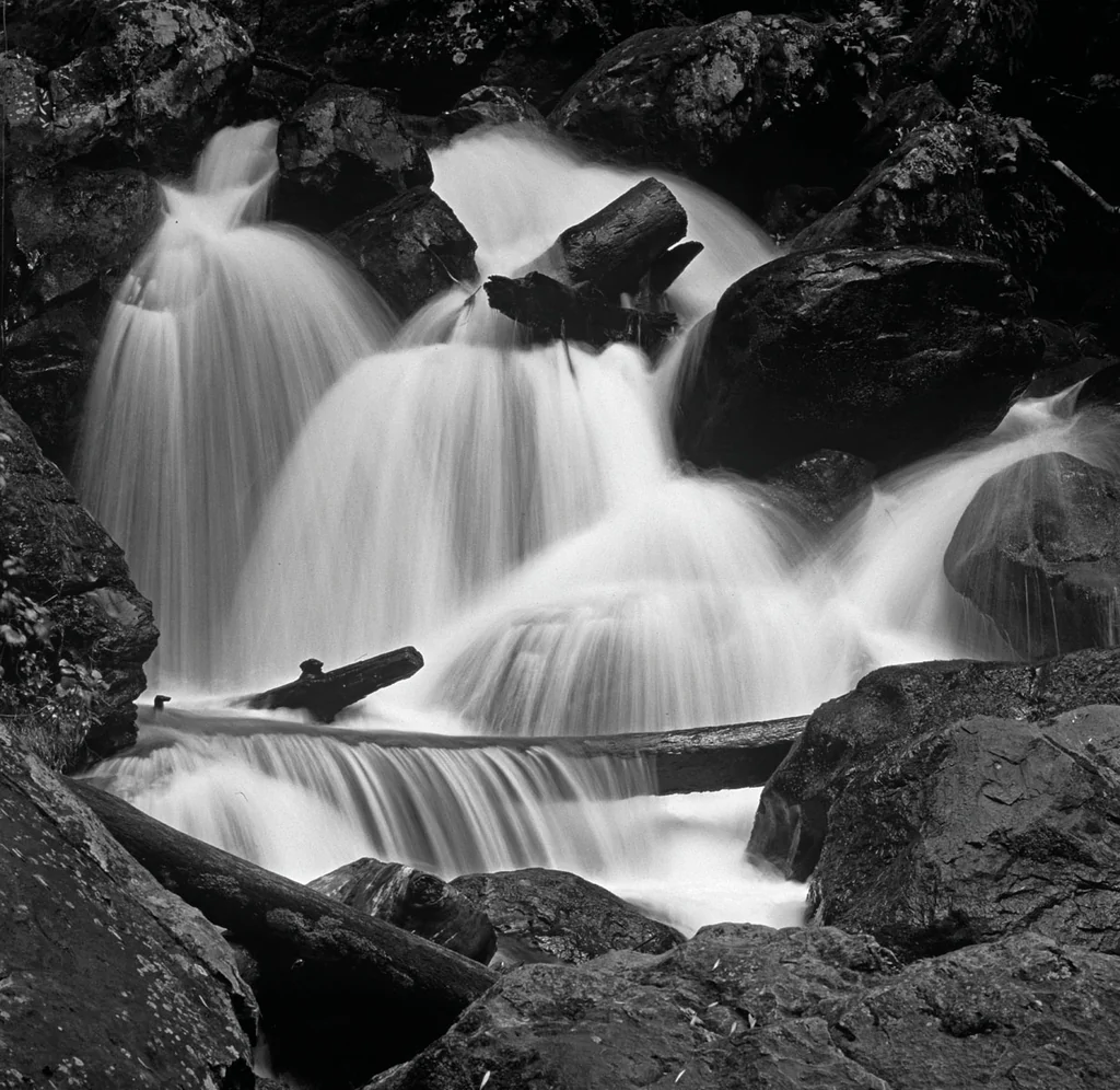 Valle July 08