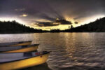 Yellow Canoes