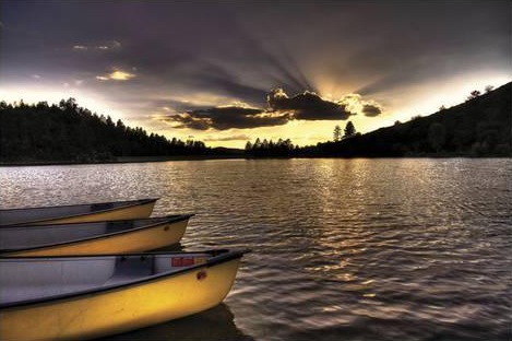 Yellow Canoes