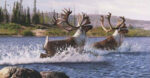 Caribou Crossing 1 Just Wall Decor Caribou Crossing