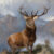 The Monarch of the Glen 1851 1 Just Wall Decor The Monarch of the Glen 1851