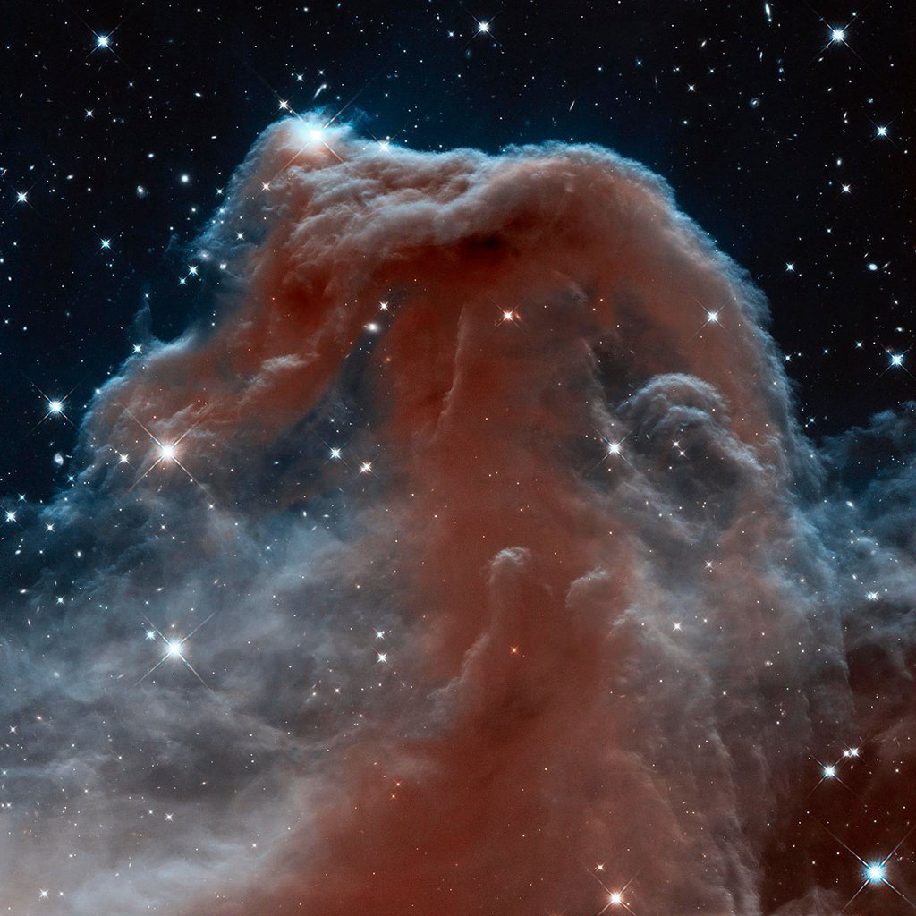 Horsehead