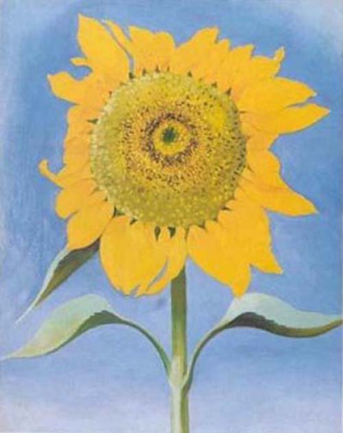 Sunflower, New Mexico, 1935