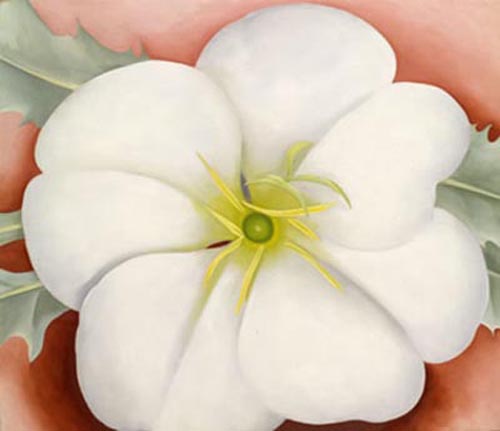 White Flower on Red Earth, No. 1, 1946