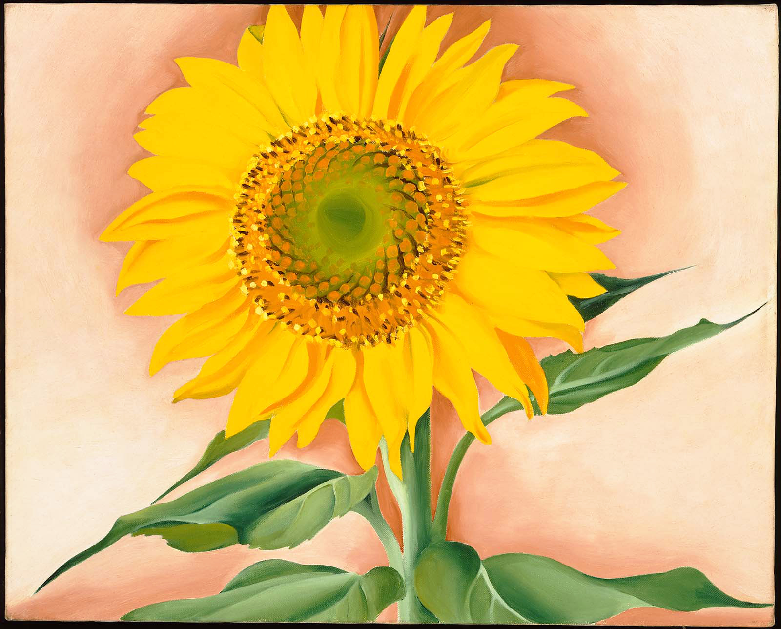 A Sunflower from Maggie, 1937