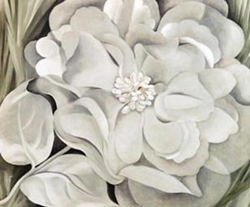 The White Calico Flower, 1931