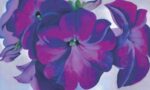 Petunias 1925 1 Just Wall Decor Petunias 1925