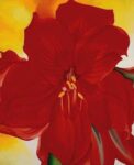 Red Amaryllis 1937