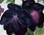 Black and Purple Petunias 1 Just Wall Decor Black and Purple Petunias