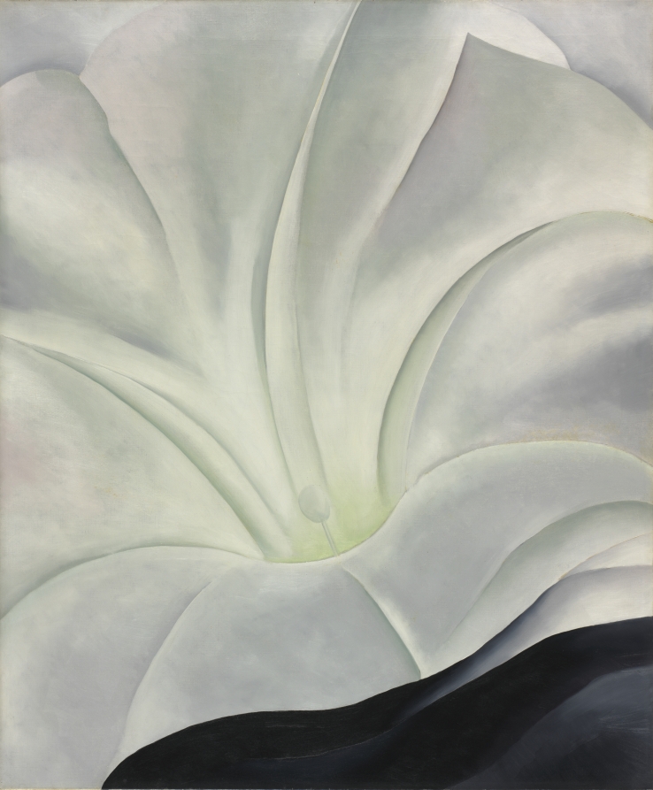 Morning Glory with Black, 1926